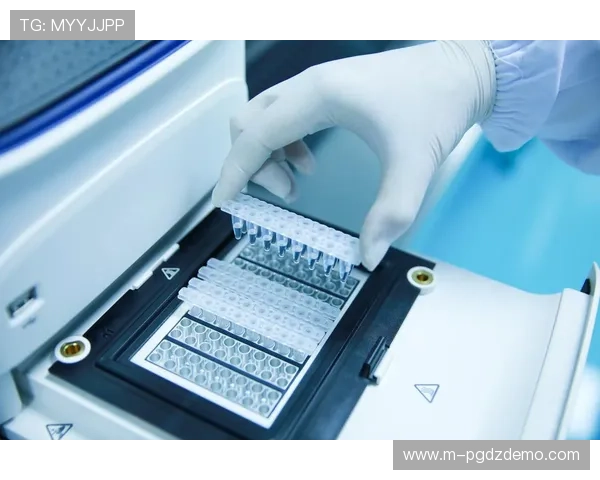 巅峰国际PG未来发展趋势与创新技术应用，助力平台持续引领行业新潮流